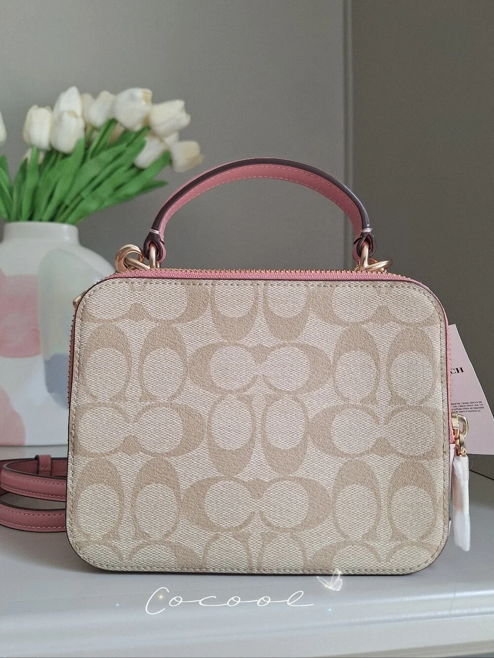 NWT Disney x Coach Cinderella Box Crossbody Bag Signature Canvas Khaki Pink Rare
